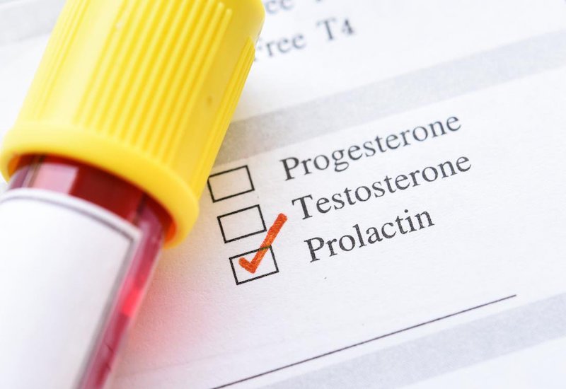 Prolactin có khả năng trì hoãn chu kỳ kinh nguyệt