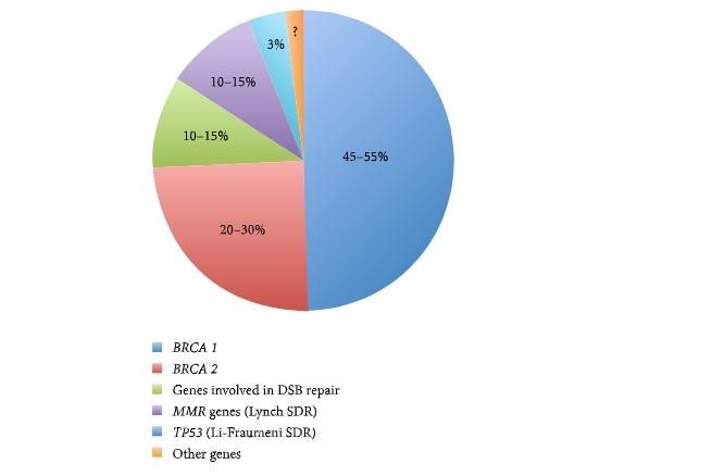 Các gen nhạy cảm và sự phổ biến của chúng trong các hội chứng buồng trứng di truyền.