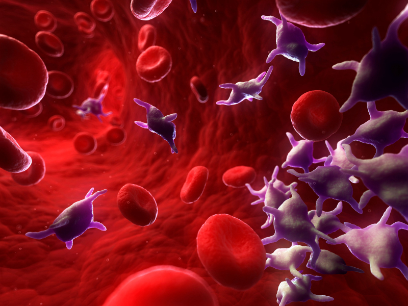 Xét nghiệm PDW cho thấy sự phân bố tiểu cầu trong máu