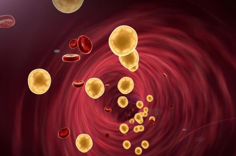 Lượng lipid trong máu lớn làm tăng nguy cơ hình thành cục máu đông