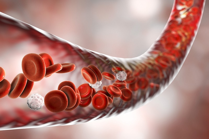 Tế bào gốc máu cuống rốn có vai trò rất lớn trong điều trị những ca bệnh nặng