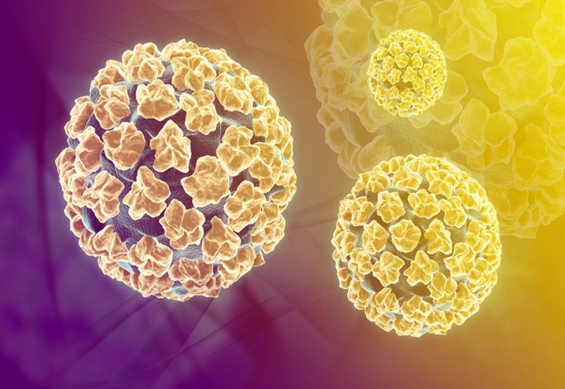 Xét nghiệm PCR giúp phát hiện ra nhiều loại virus gây ra nhiều bệnh khác nhau