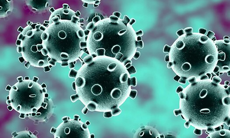 Virus SARS-CoV-2 tác nhân gây ra bệnh viêm phổi vô cùng nguy hiểm hiện nay