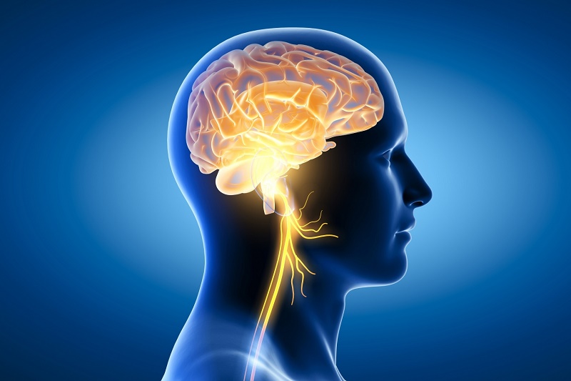 Các loại thực phẩm tốt cho não bộ, giúp tăng cường trí nhớ | Medlatec