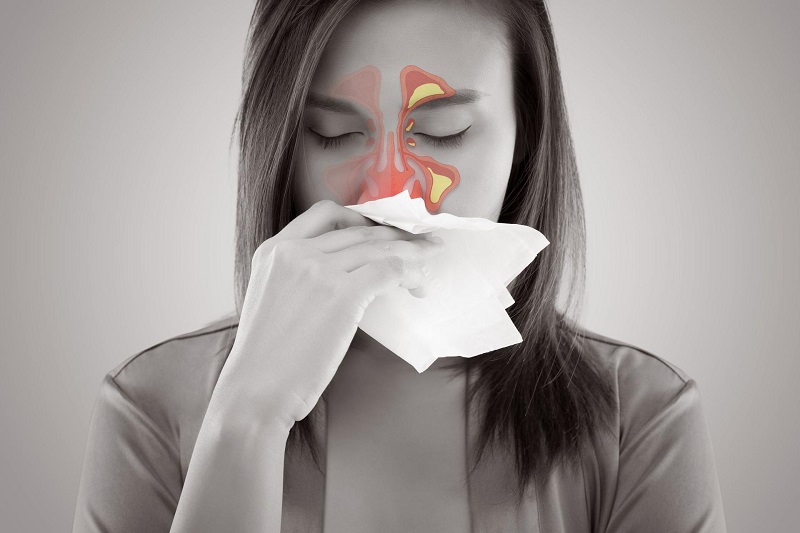 Thông Xoang Tán được dùng trong việc điều trị và phòng ngừa viêm xoang mũi