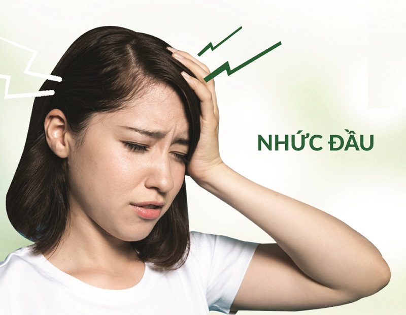 Tân Di có tác dụng giảm hiệu quả chứng đau đầu trong viêm xoang mũi