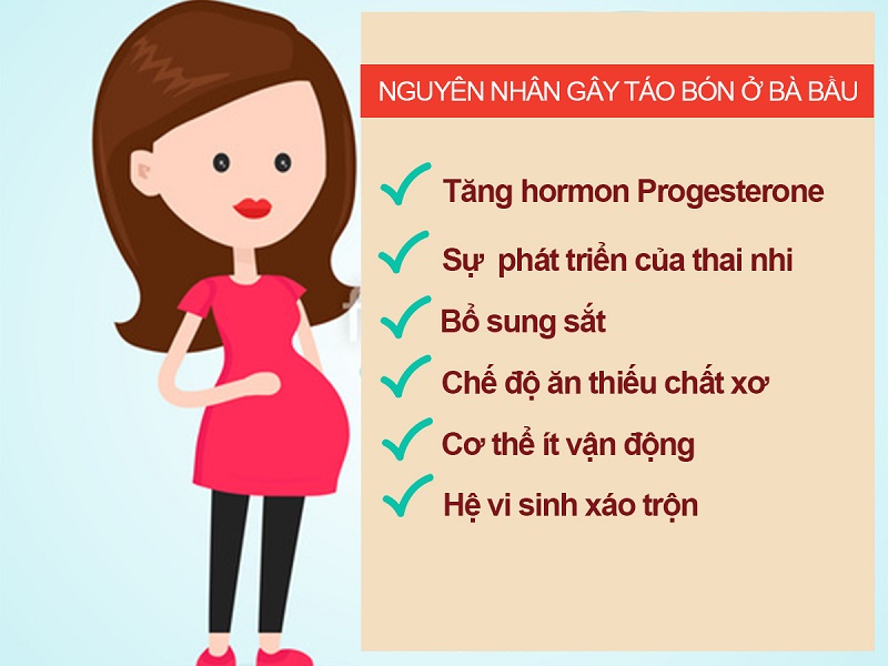 Những nguyên nhân chính gây ra tình trạng táo bón ở bà bầu