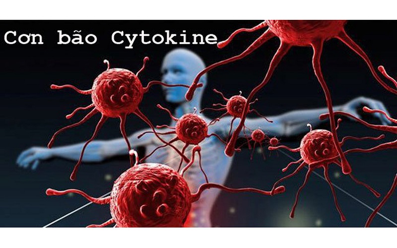 Hội chứng bão Cytokine ở bệnh nhân Covid – tử thần dấu mặt