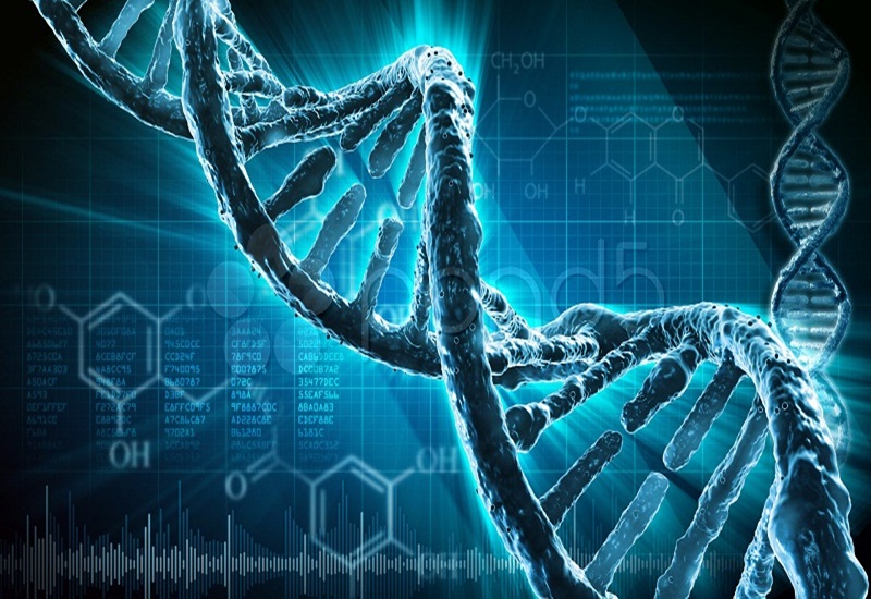 Kiểm tra gen và nhiễm sắc thể để tiên lượng nguy cơ sinh con dị tật