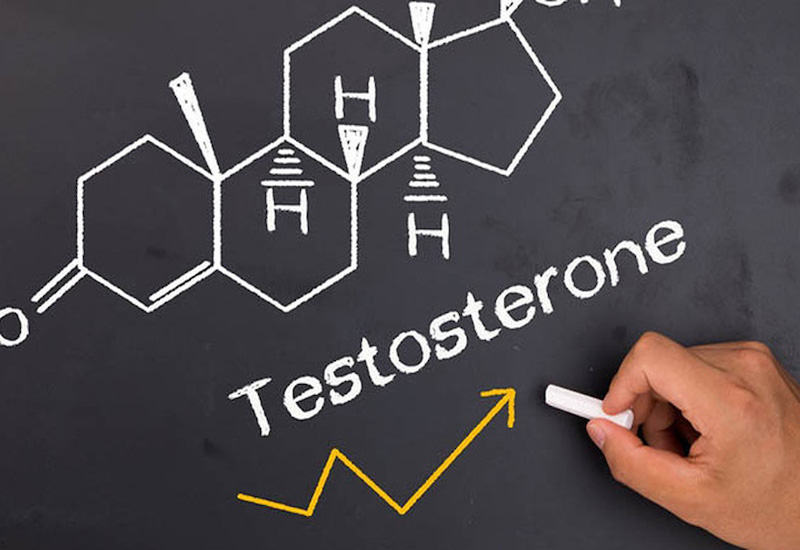 Nồng độ testosterone có ảnh hưởng đến chiều dài dương vật