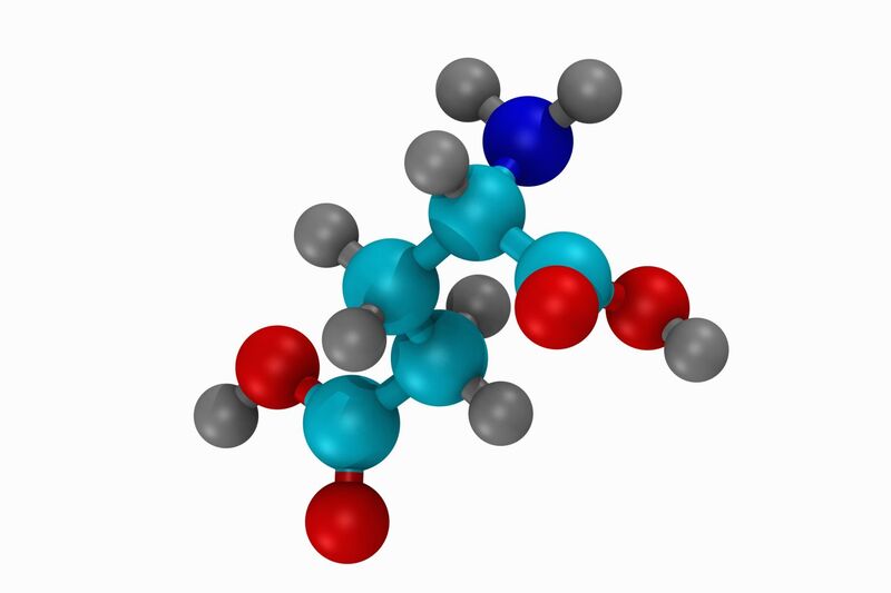 Axit amin là gì và tính năng của axit amin với thân thể