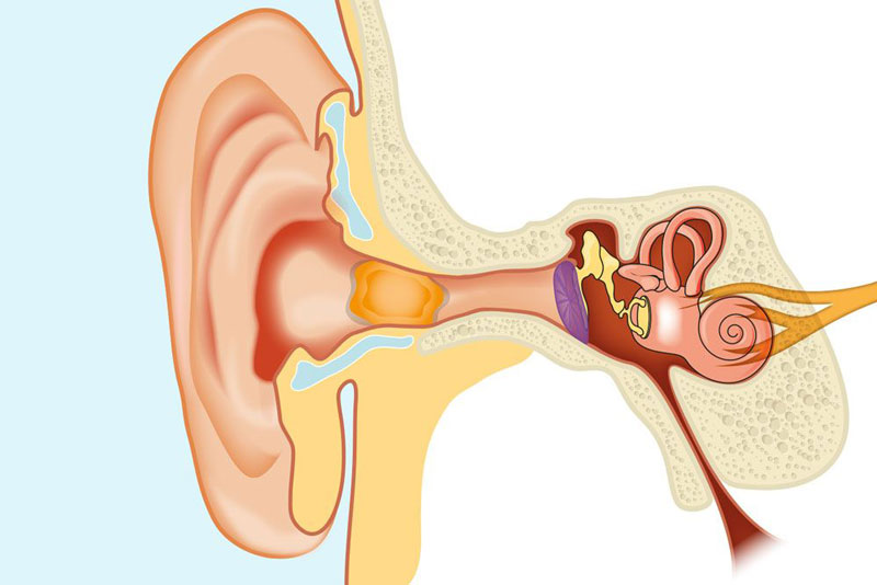 Dị vật tai là gì