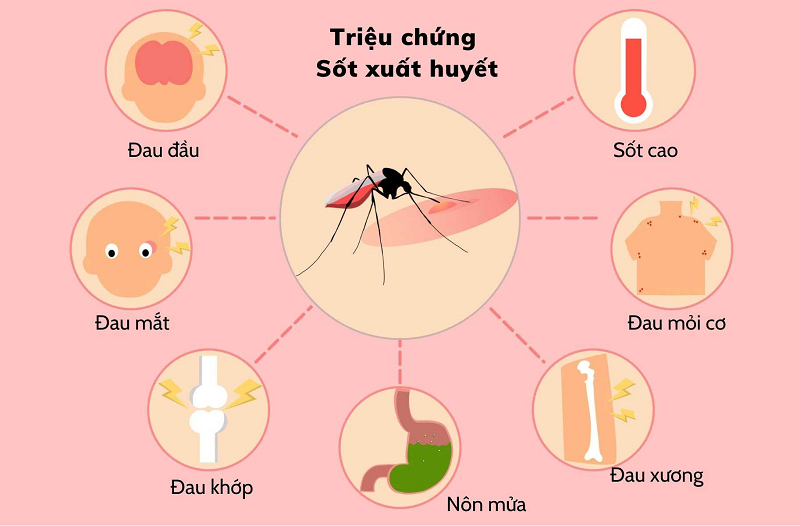 3. Cách phòng ngừa sốt xuất huyết