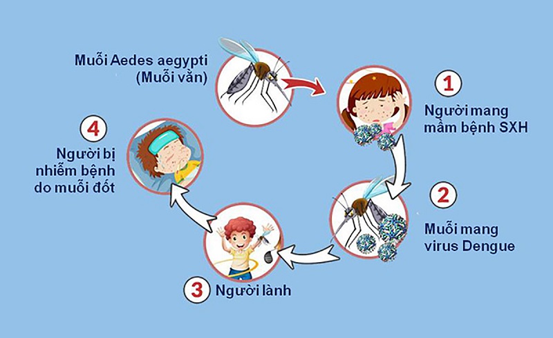 Cách thức lây lan và bùng phát dịch sốt xuất huyết