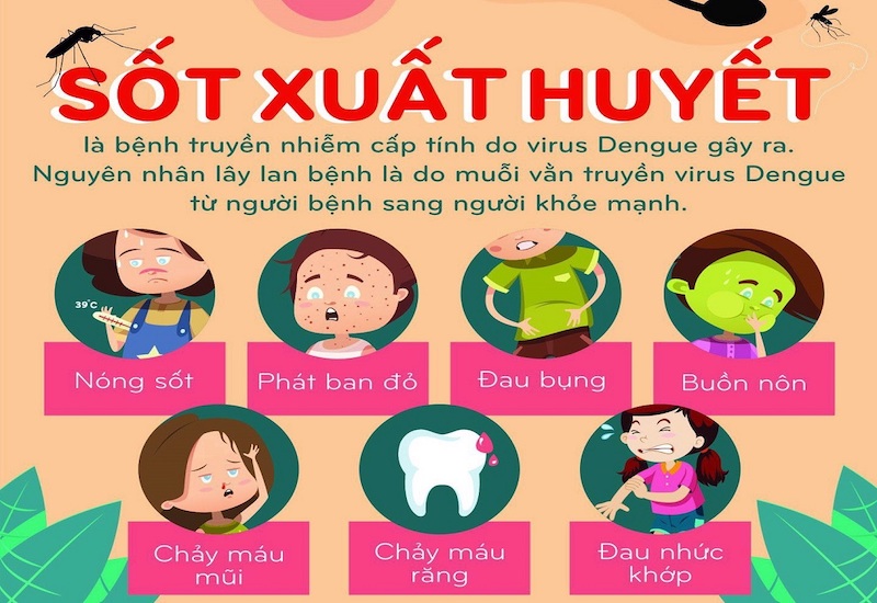 4 Chủng Sốt Xuất Huyết: Nhận Biết, Điều Trị và Phòng Ngừa Hiệu Quả