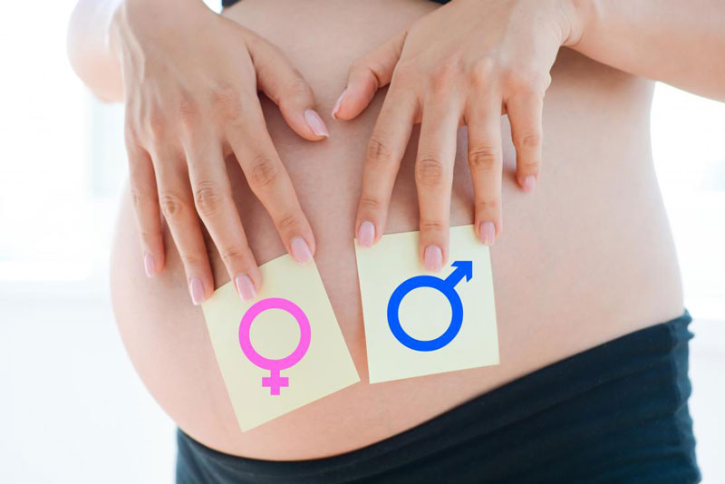 Giới tính của thai nhi được xác định ngay từ khi trứng và tinh trùng kết hợp với nhau