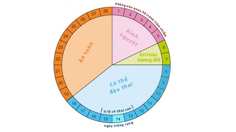 Xác định thời điểm rụng trứng sẽ giúp bạn xây dựng một đời sống tình dục hợp lý