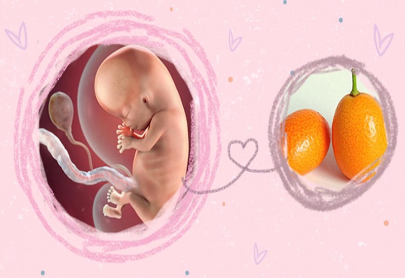 Thai 10 tuần như thế nào và lời khuyên để mẹ bầu có thai kỳ khỏe mạnh