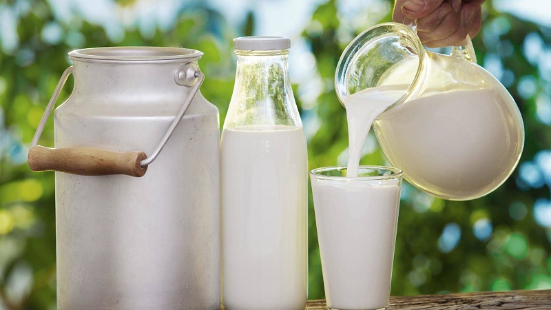 Sữa tươi là nguyên liệu chữa cháy nắng giúp làm dịu mát và sớm hồi phục tổn thương da 