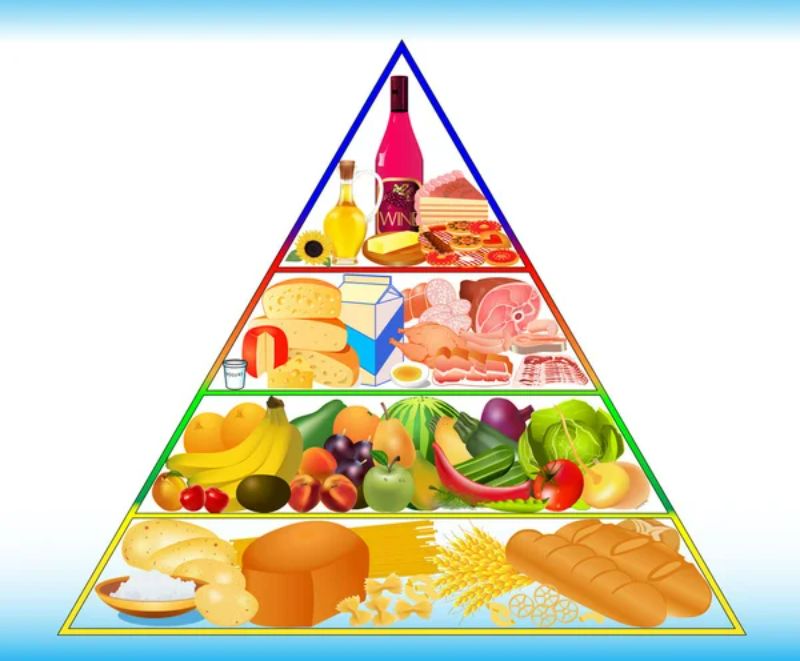 Kim tự tháp dinh dưỡng của trẻ em sử dụng các nguyên tắc tương tự như của người lớn