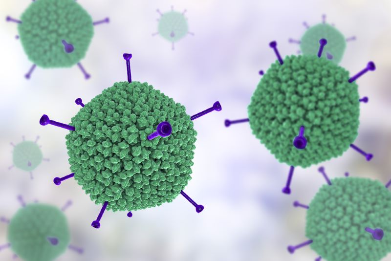 Adenovirus đã xuất hiện tại Việt Nam