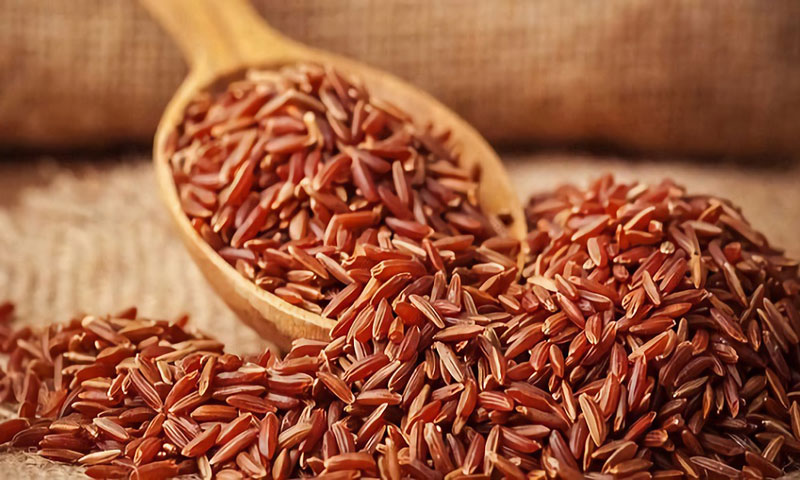 Trong gạo lứt chứa nhiều chất xơ vô cùng tốt cho bệnh nhân tim mạch