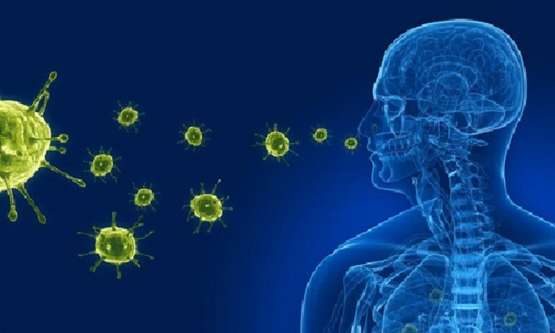 Nguyên nhân bị cúm do virus cúm tấn công hệ hô hấp