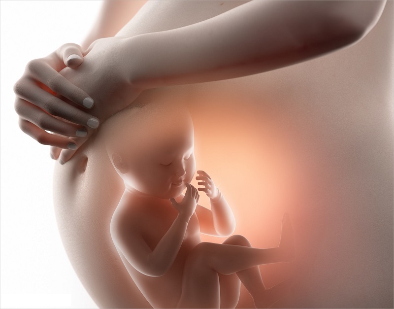 Các mẹ sẽ bắt đầu cảm nhận được những cú đạp của bé từ tuần thứ 18-20 của thai kỳ