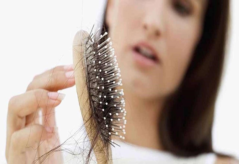 Hà thủ ô có tác dụng chữa rụng tóc