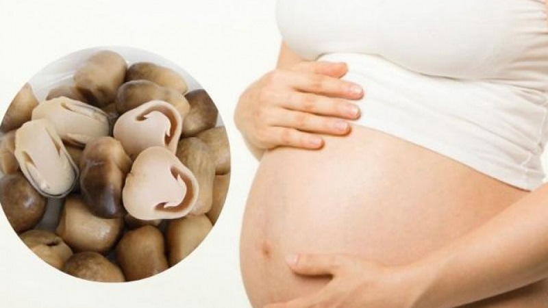 Mang thai ăn nấm không phải là mối quan tâm của nhiều bà bầu