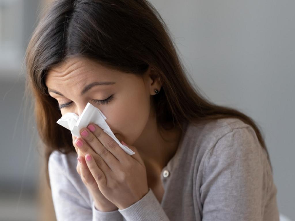 Bài thuốc từ cây cỏ xước có tác dụng chữa sổ mũi