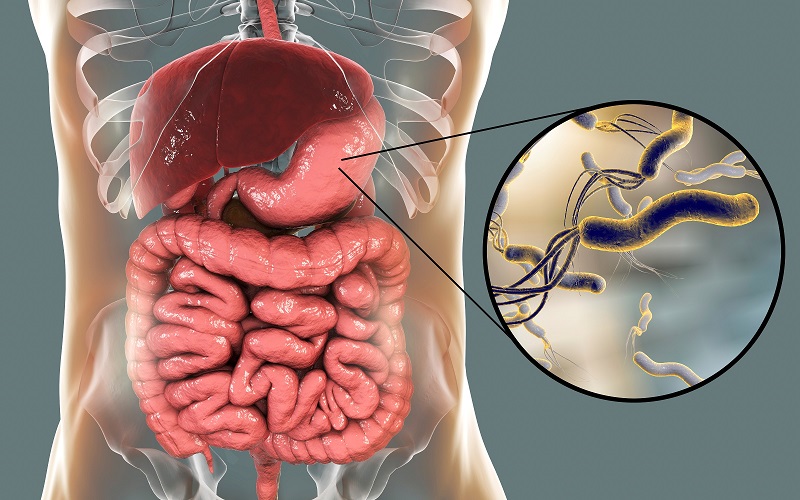 Helicobacter pylori có thể truyền từ người bệnh sang người khỏe mạnh