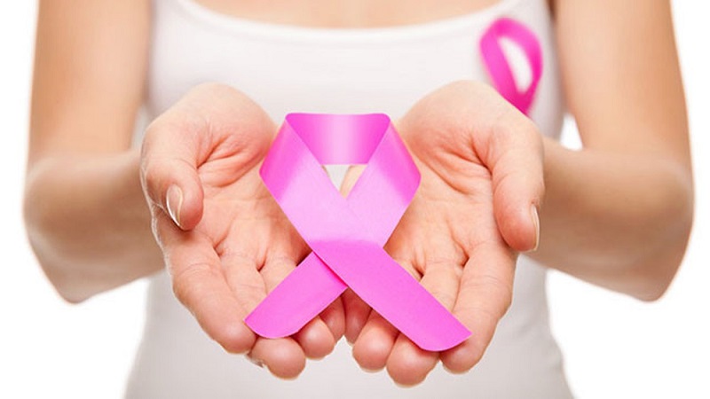 Cỏ ngọt có tác dụng phòng chống ung thư vú