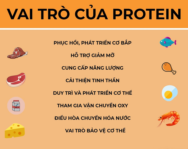 Vai trò của chất đạm đối với cơ thể