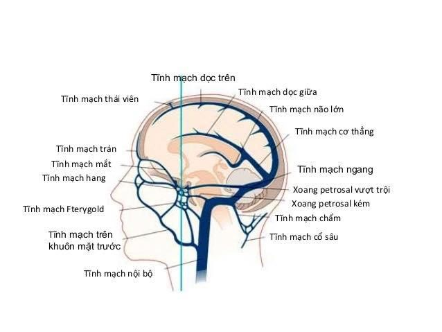 Điều Trị và Phòng Ngừa