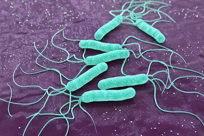 Helicobacter pylori gây loét nghiêm trọng