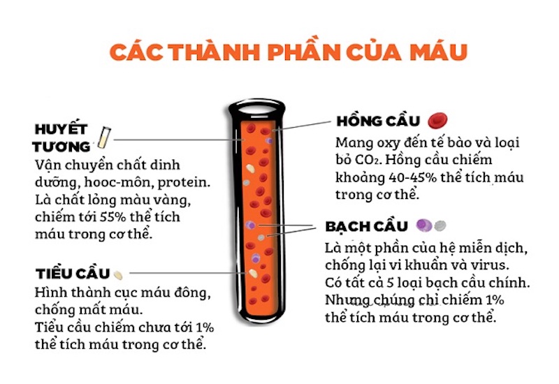 Xét nghiệm máu có thể nhận biết sự thay đổi về các thành phần trong máu