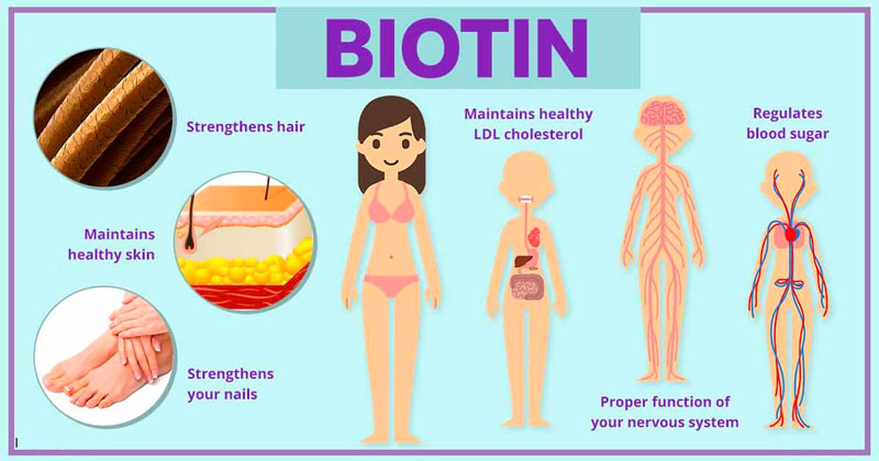 Những lợi ích sức khỏe đặc biệt của biotin