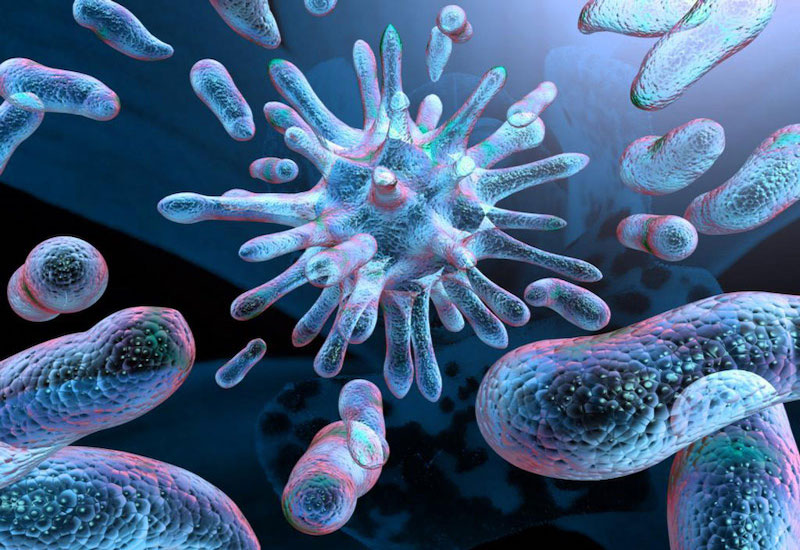                 Virus, vi khuẩn là nguyên nhân điển hình gây viêm đường hô hấp dưới