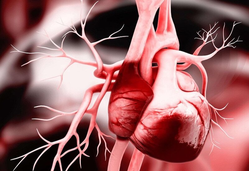 Các bệnh tim mạch là nguyên nhân phổ biến gây phù phổi cấp