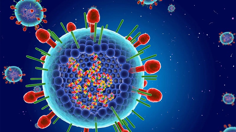 Đông - xuân, xuân - hè là thời điểm Virus hợp bào hô hấp (RSV) thường hoạt động mạnh