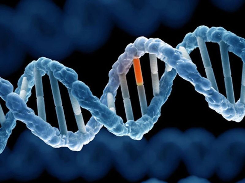 Đột biến gen là gì? Có phải tất cả các đột biến gen đều không tốt?