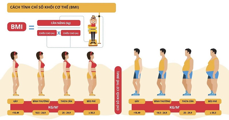 Thông qua chỉ số BMI, người bệnh có thể biết mình béo phì hay thừa cân