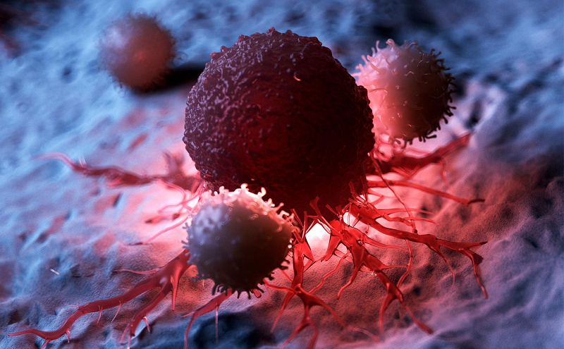 Ung thư được biểu hiện bởi sự phát triển bất thường của tế bào