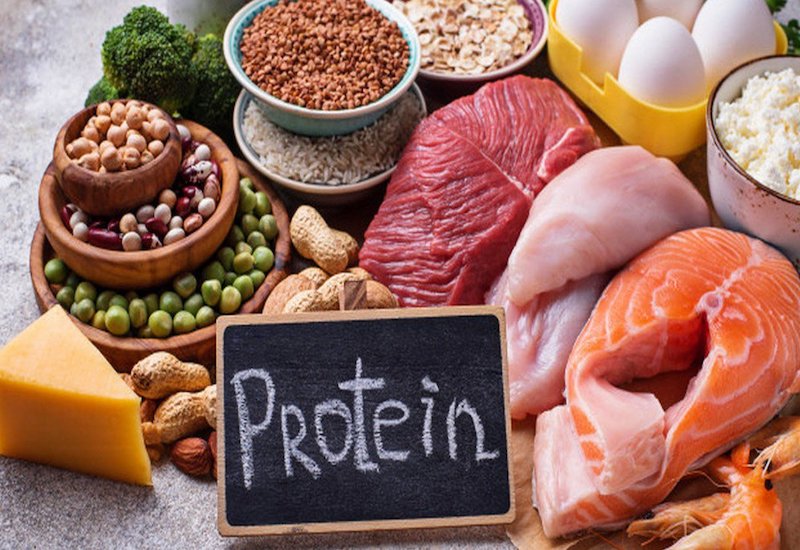 Protein có nhiều trong thịt, cá, trứng, sữa hoặc các loại hạt