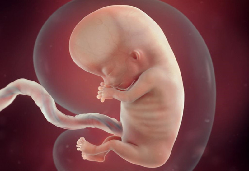 Suy dinh dưỡng bào thai là dạng suy dinh dưỡng thể hiện ngay từ khi trẻ còn trong bụng mẹ.