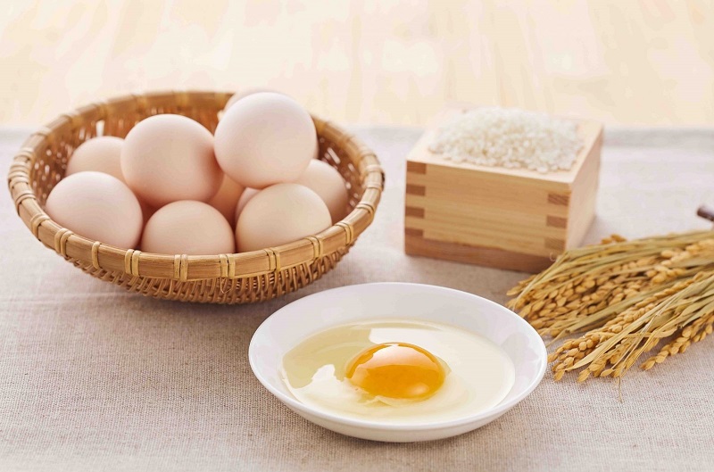 1 lòng đỏ trứng gà mỗi bữa phù hợp cho trẻ từ 8 đến 12 tháng tuổi 