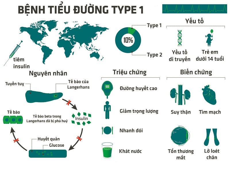 Hình dung tổng quan về bệnh tiểu đường type 1