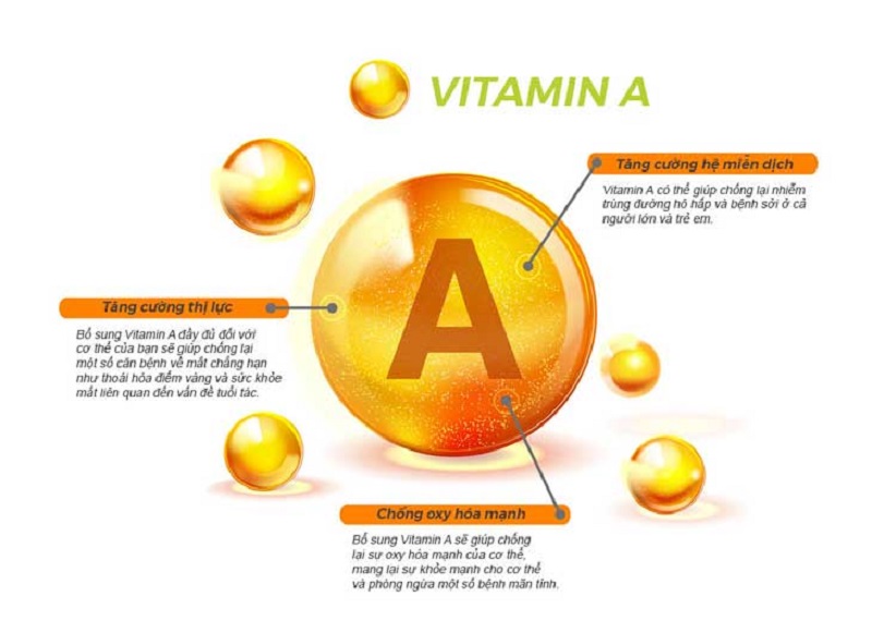 Một số tác dụng của vitamin A