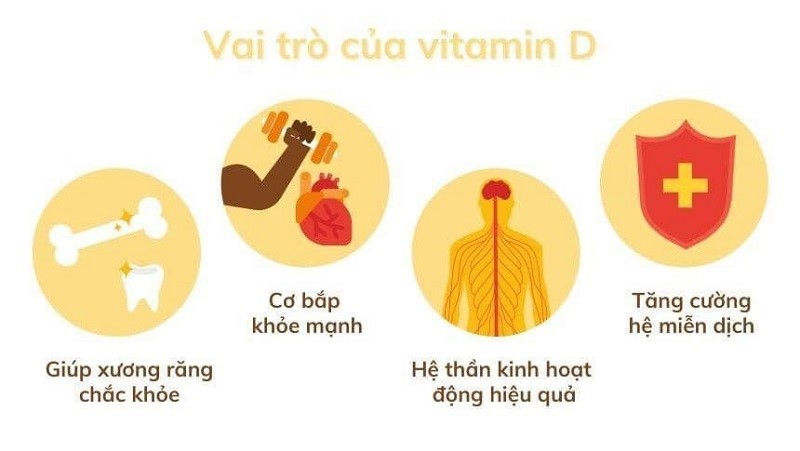 Vitamin D giúp gì cho cơ thể? Lợi ích sức khỏe và cách bổ sung hiệu quả